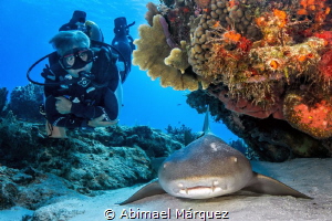 Evelio and the nurse shark, Cozumel. by Abimael Márquez 
